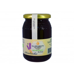 Mel Montanha Biológico  500g